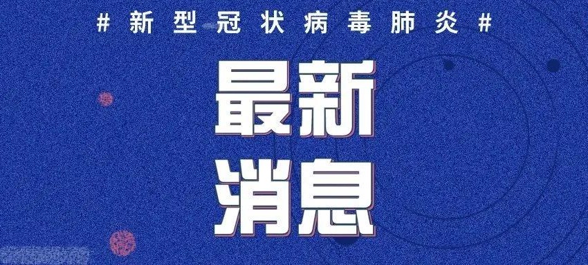 新冠肺炎最新疫情分析报告，全球态势与趋势预测